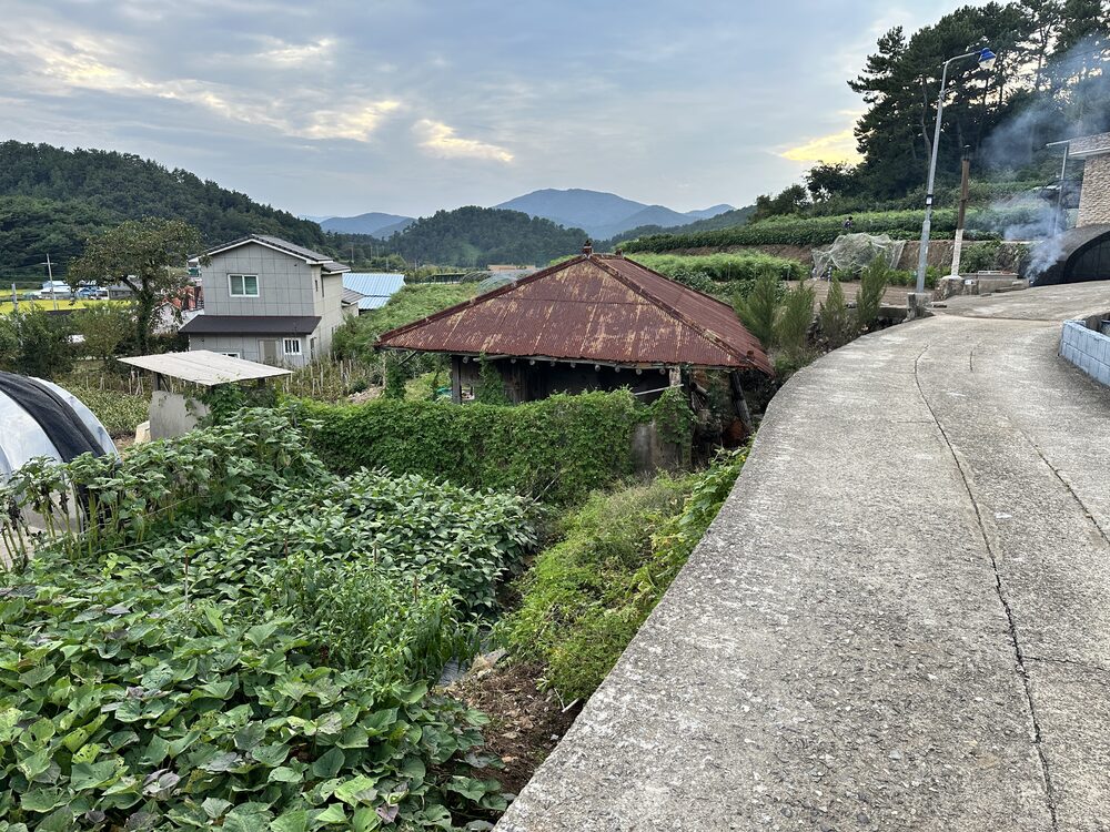 붉은 지붕의 집과 논밭, 뒤로 산